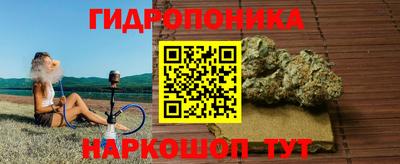 герыч Кингисепп