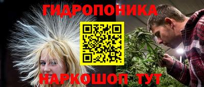 герыч Кингисепп