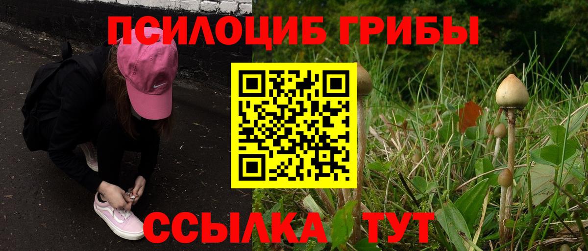 Галлюциногенные грибы MAGIC MUSHROOMS Красный Сулин
