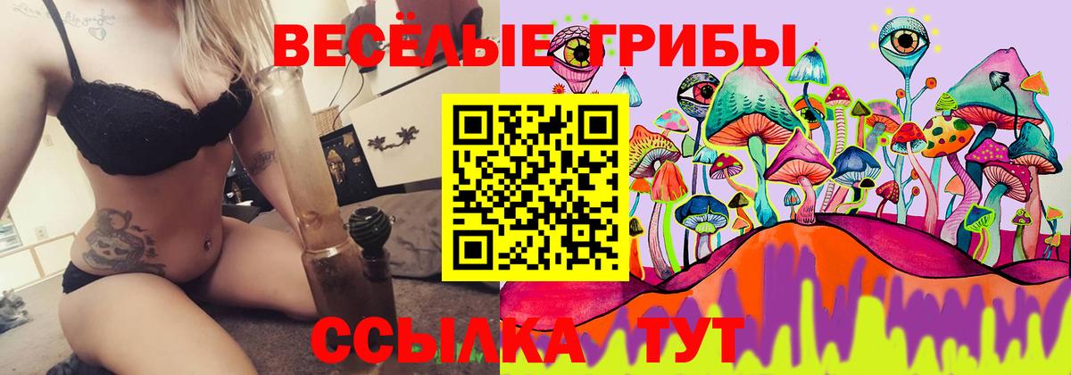 Псилоцибиновые грибы Psilocybine cubensis  Вход с VPN  Красный Сулин 