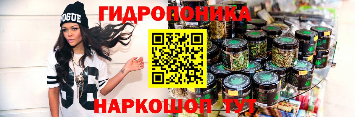 Канабис конопля Красный Сулин